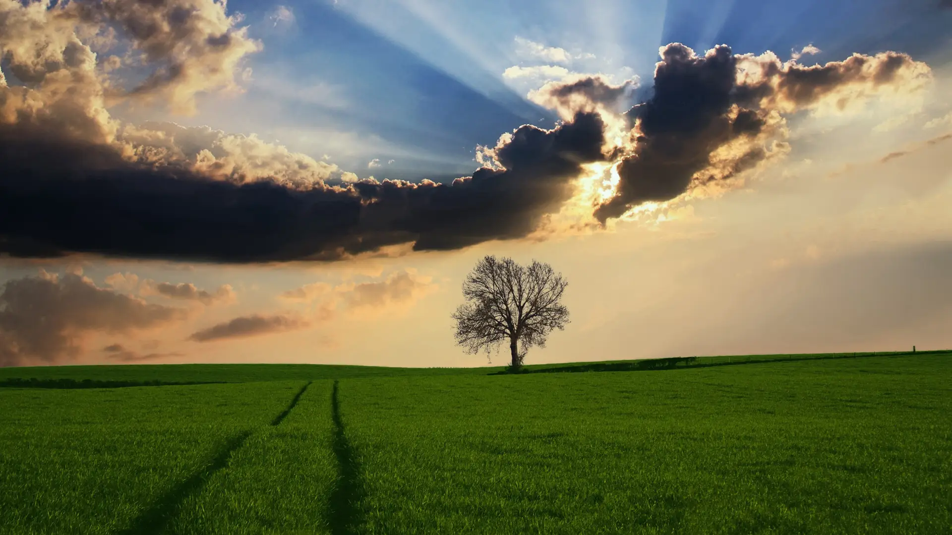 通过CSS实现Typecho博客Logo旋转效果